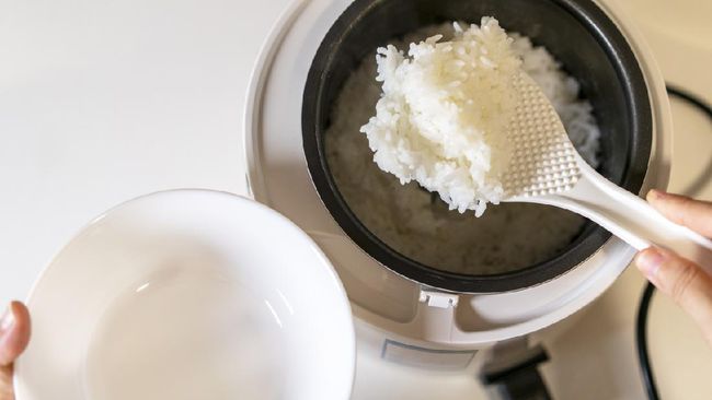 500 Ribu Rice Cooker Gratis Batal Disebar Bulan Ini, Molor ke Desember